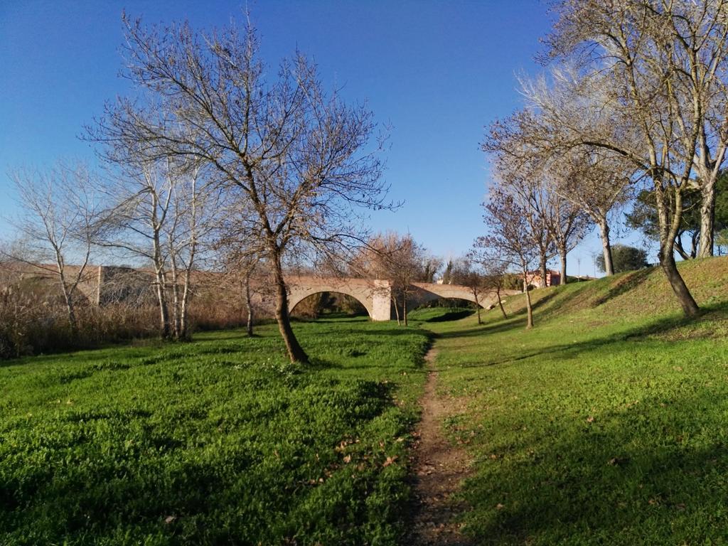 Newly Renovated Large Villa With Garden Castello  D'Empuries Dış mekan fotoğraf